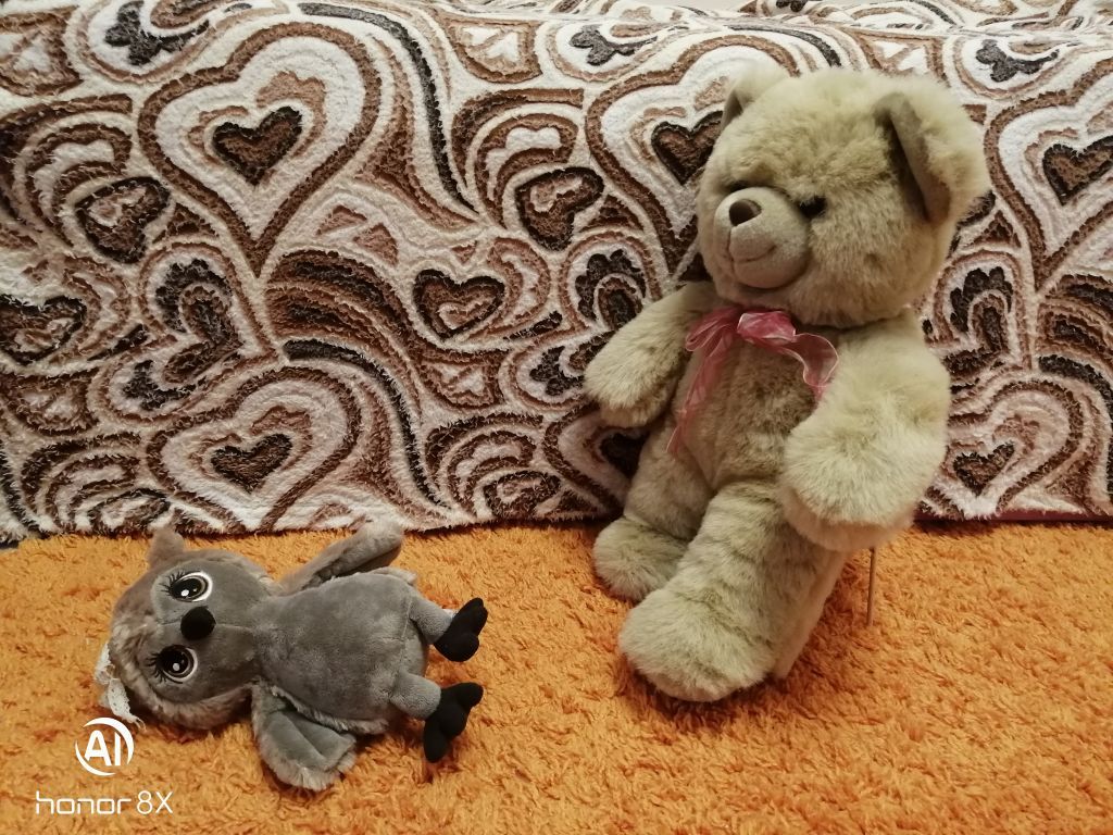 IMG_20191121_175522.jpg