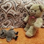 IMG_20191121_175522.jpg
